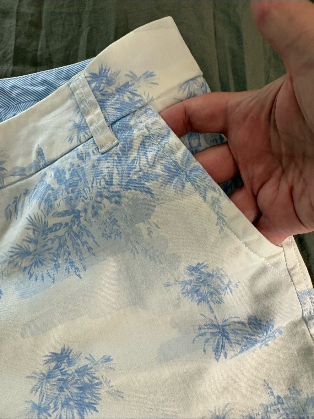 Crown & Ivy Caroline Toile  Cotton Shorts. Size 10. - Picture 4 of 12